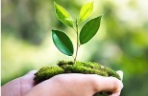 growing in faith